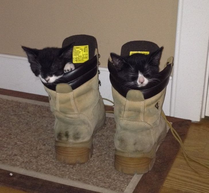 6b2a5c53beb422d684e1cb8e7c