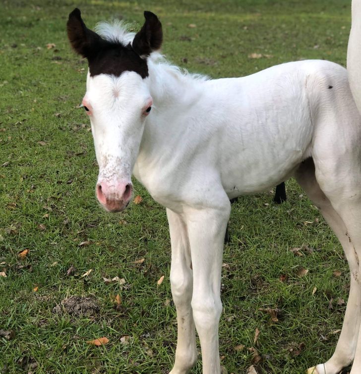 6b2e805088a669b92a82eaf564