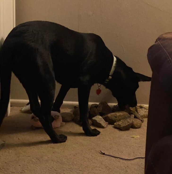 6b30075ab98720c4098ae1b2ed