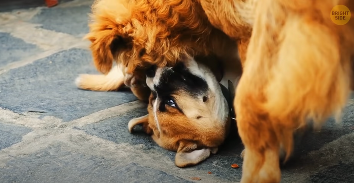 6b32d85839b77118b0184e8e46