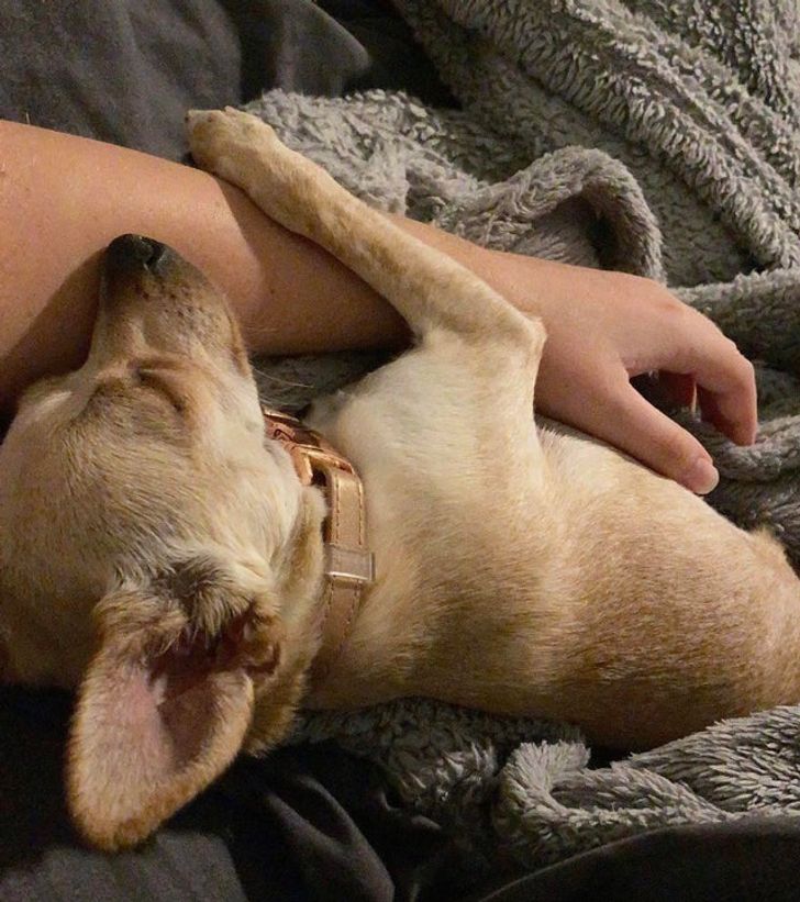 6b34e55c44b47a10d431c65315