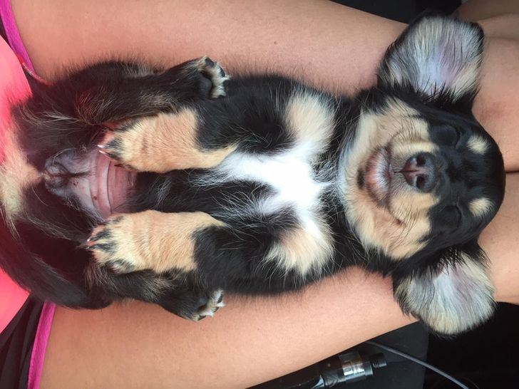 6b404b5f70abad6d442b0c579b