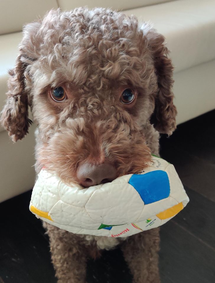 6b4475558daab931348108c7de