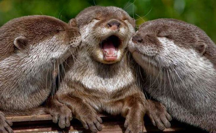 6b45d153bea2fec74f0b5d4f57