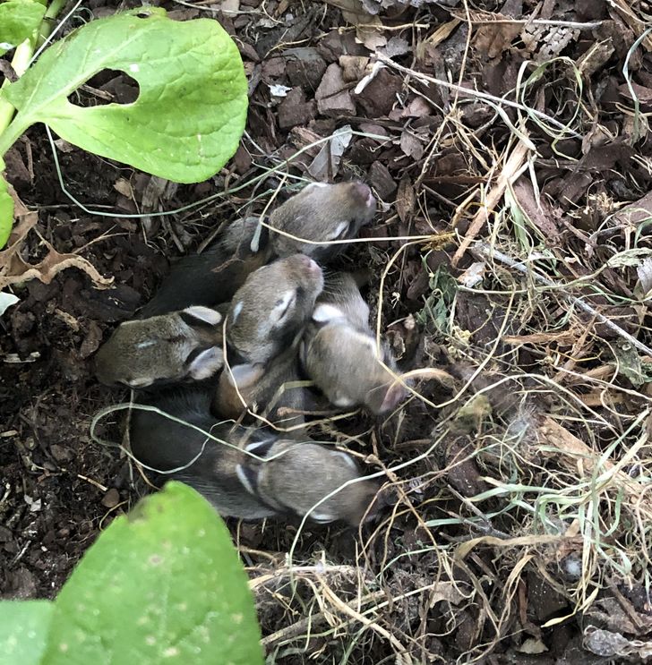 6b47f852f3b4c19154cd9b3ef4