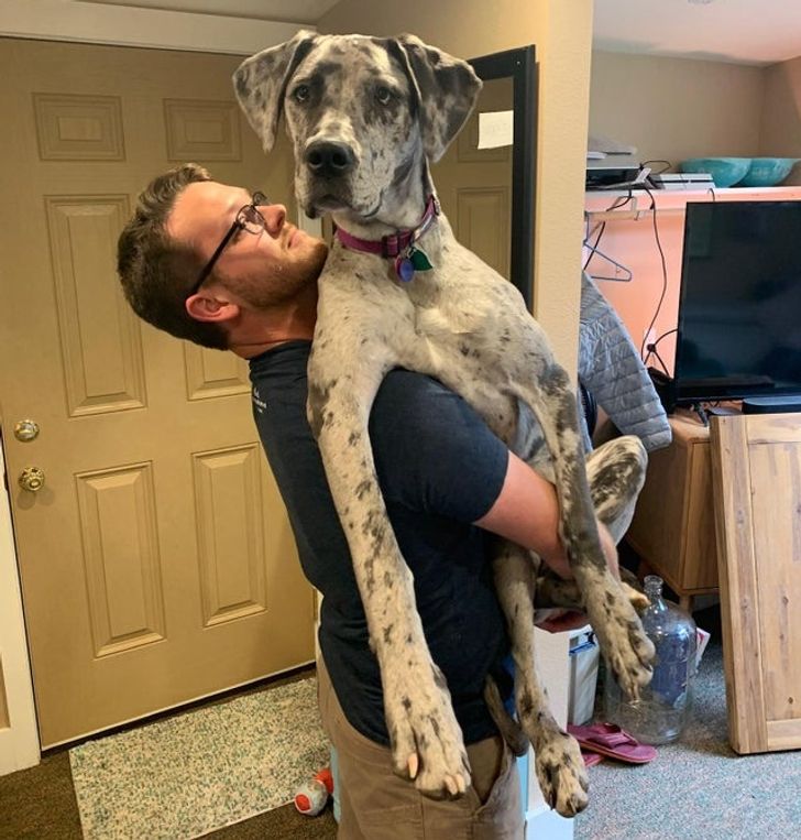 6b48a65b42b9a058751e311f8c