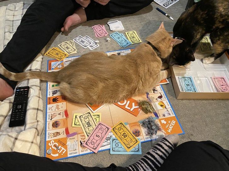 6b4a9e532cae4c641143d01f23