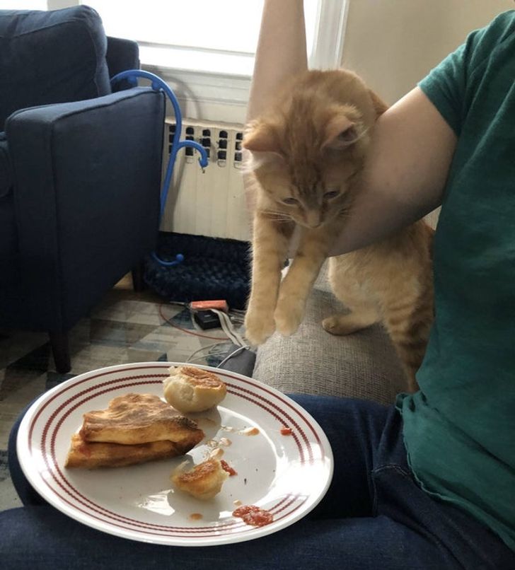 6b4cd256988236372eaebb99d0