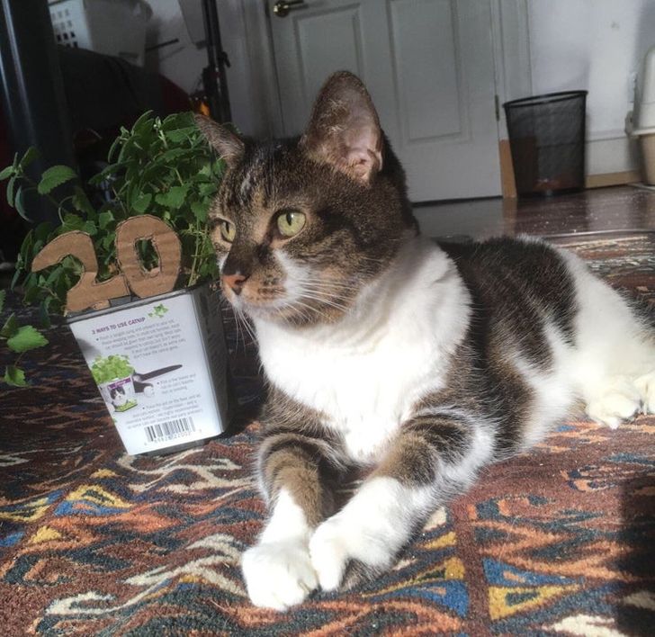 6b4d535229ac1e33f3cbc7dfc2