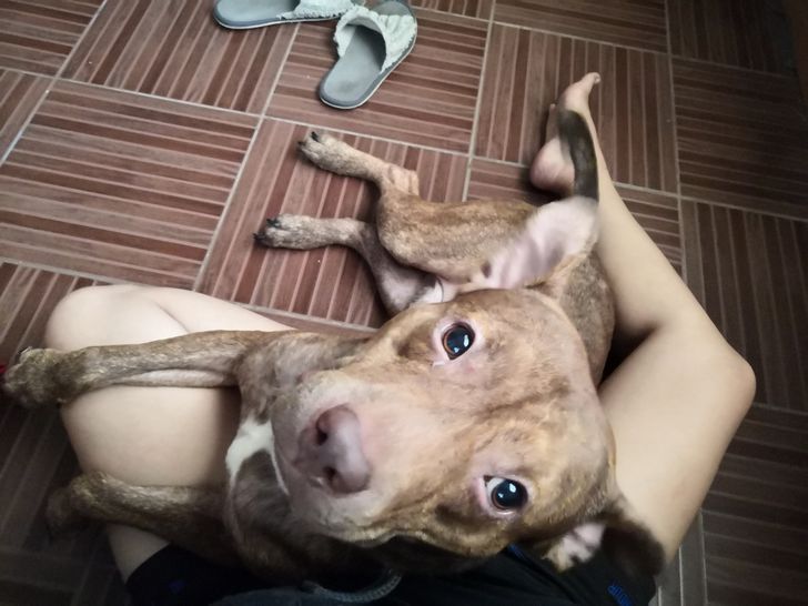 6b4dcc54759f0ece4dd9e1e577