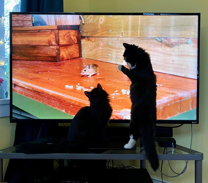 6b4f4759449652d0af05910a24 6b4f4759449652d0af05910a24