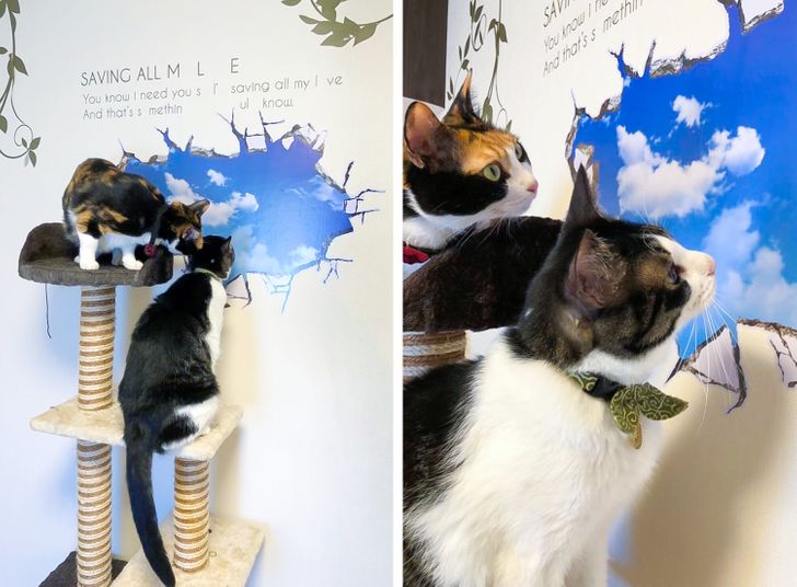 6b51275222a5855b12c7a6005e