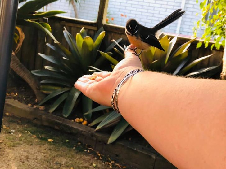 6b5ac557a39e04231476c79e65