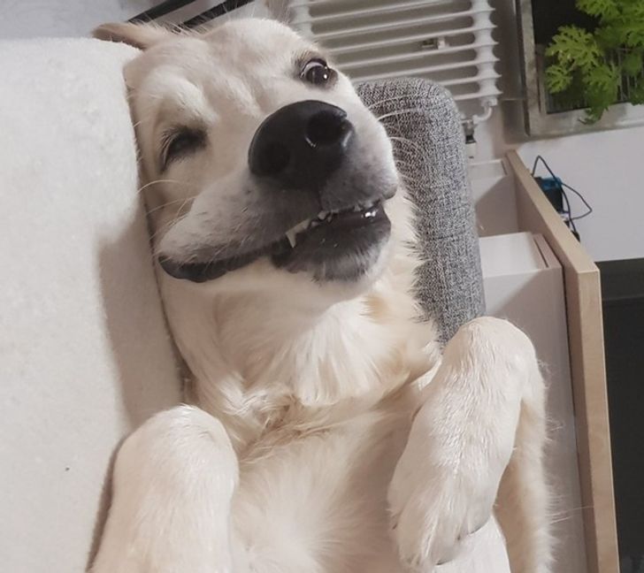 6b5b7552eca15d7bcc9a9751ac