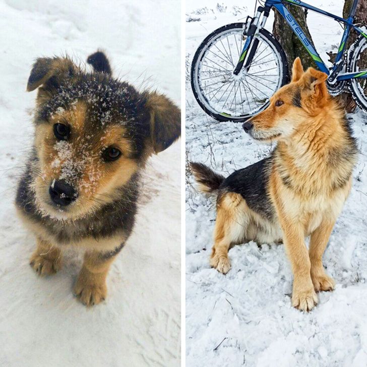 6b62e35110af84472a3a071652