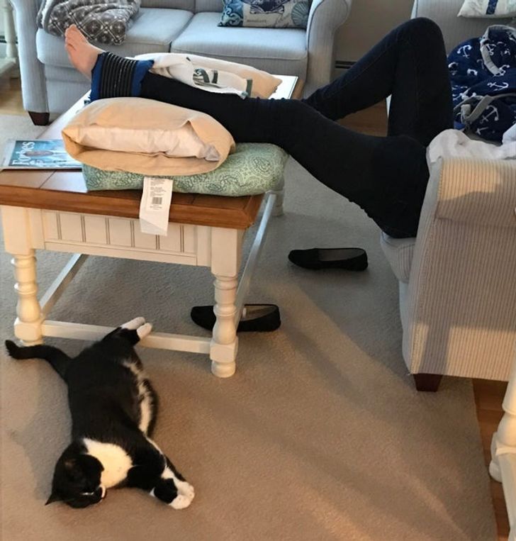 6b6b2252ed91740a0d86779f3d