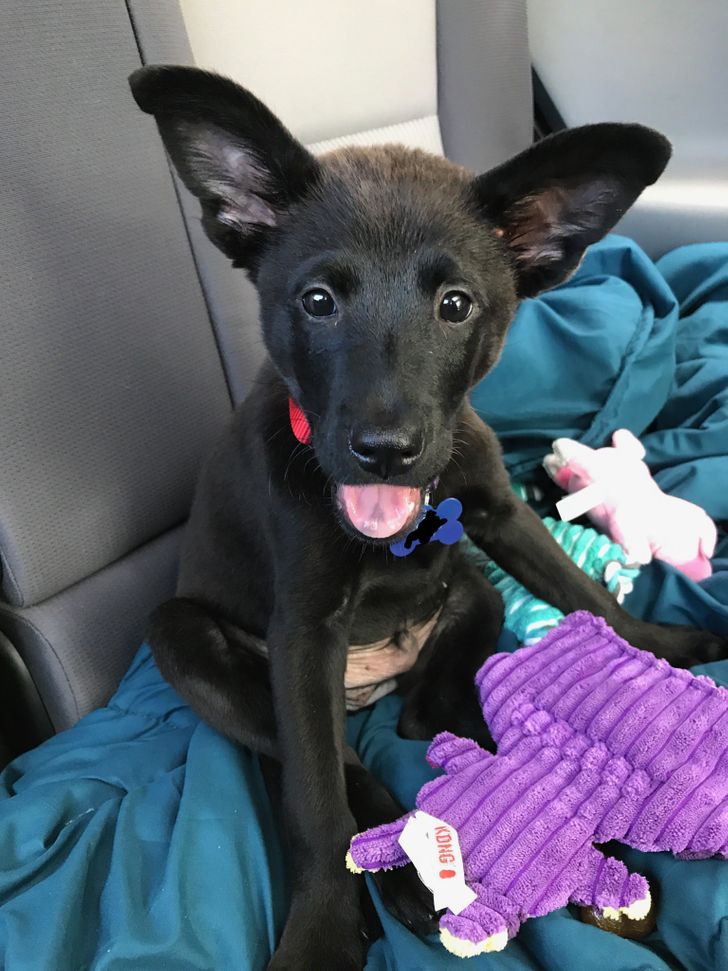 6b7c4f568190c6d48e2cc1bfe4