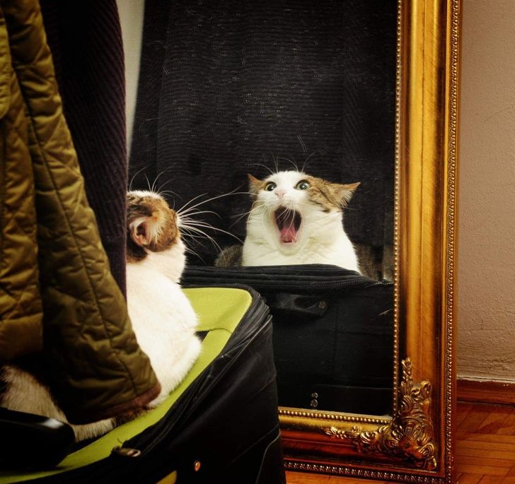 6b7e7d51d6b557c2aec46f6dd7