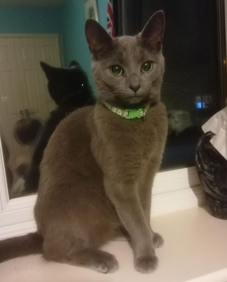 6b843557778f827b9fef64ebd0