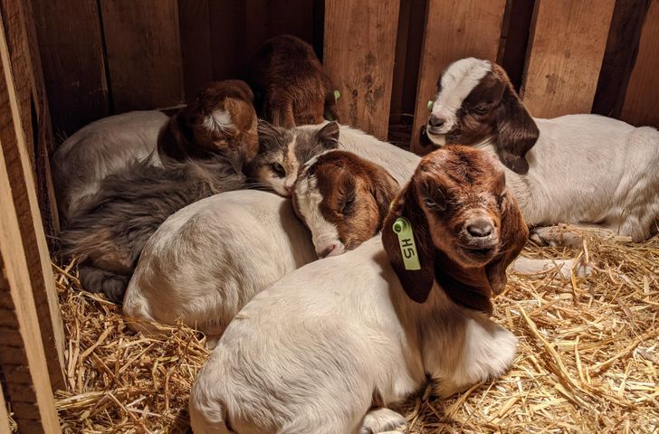 6b8503566a9564aaebbc5553ec