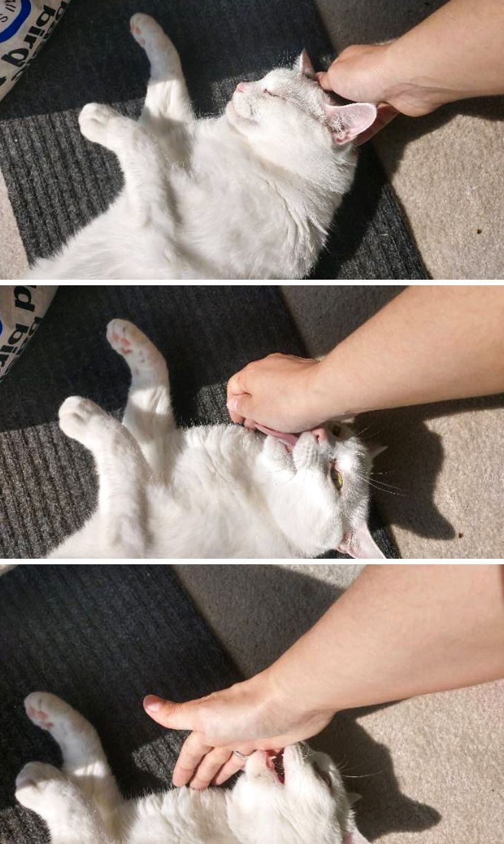 6b91c15159a20bc6af54373b16