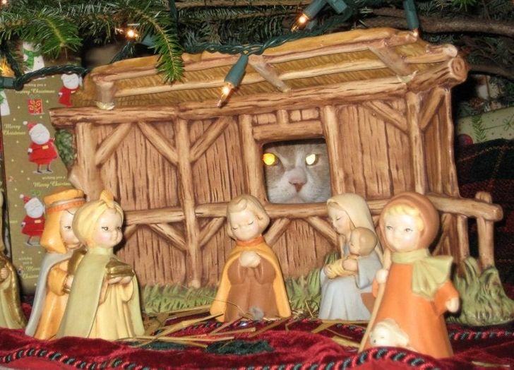 6b943c5db0a2e8f0704bccf43f