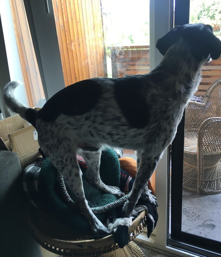 6b94e35a0ab9490088c13adfae