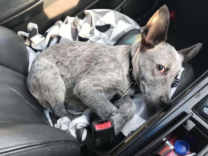 6b96cf594394f39730734a7868