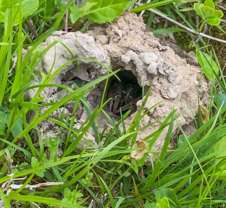 6b9a3853edb0298b12b30d34c0