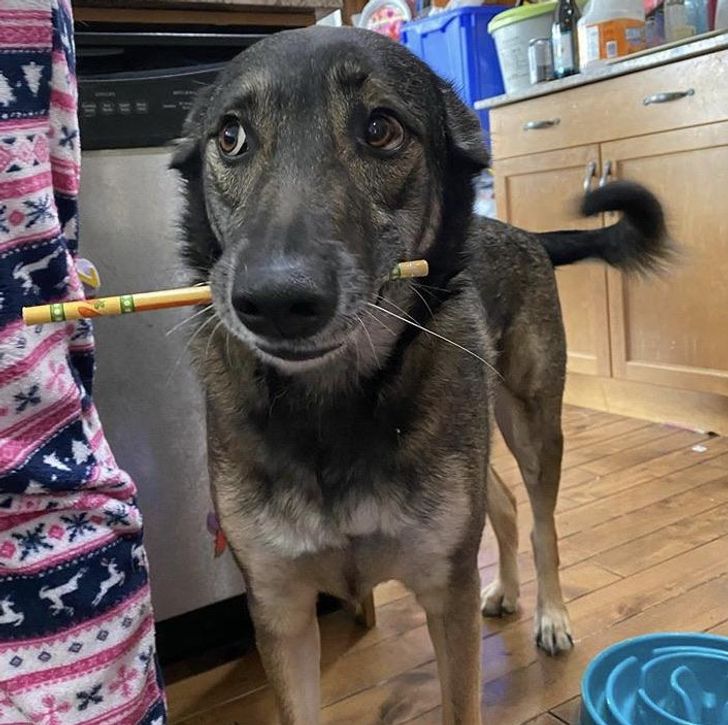 6b9d2a560e9bb47a30fecde852