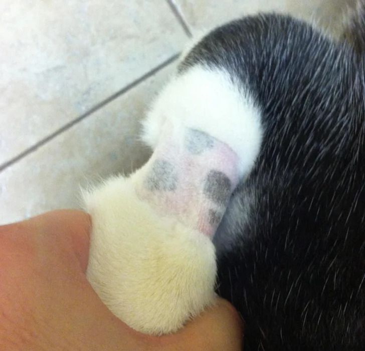 6b9f675ec386640f1784cc6075