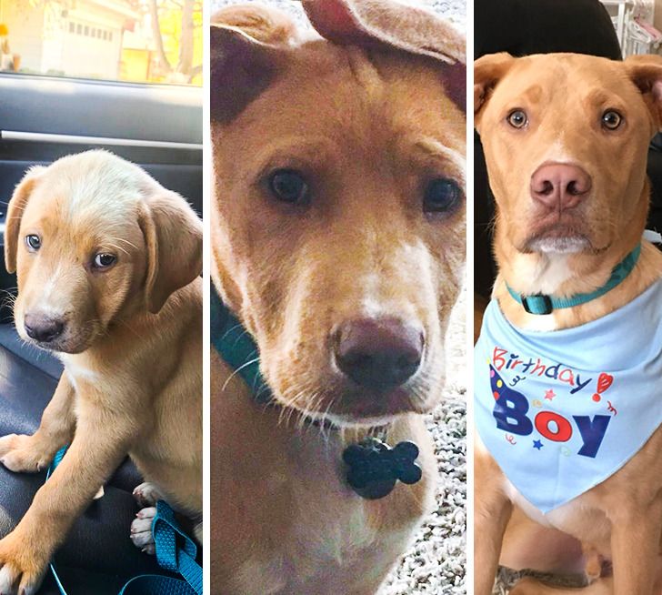 6ba12b53d5a1f4e056411c59f8