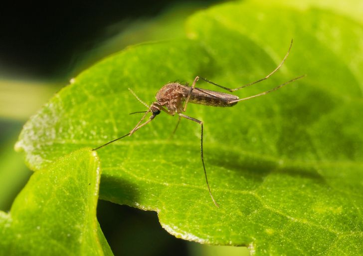 6ba67f58fa805f2638b757915b