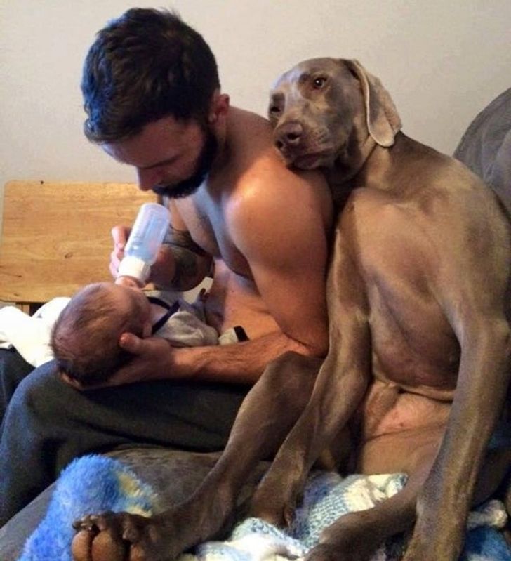 6bb07355468cd307688df275bf