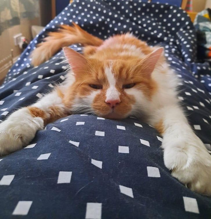 6bb0915d0597a3e9db1f50659b