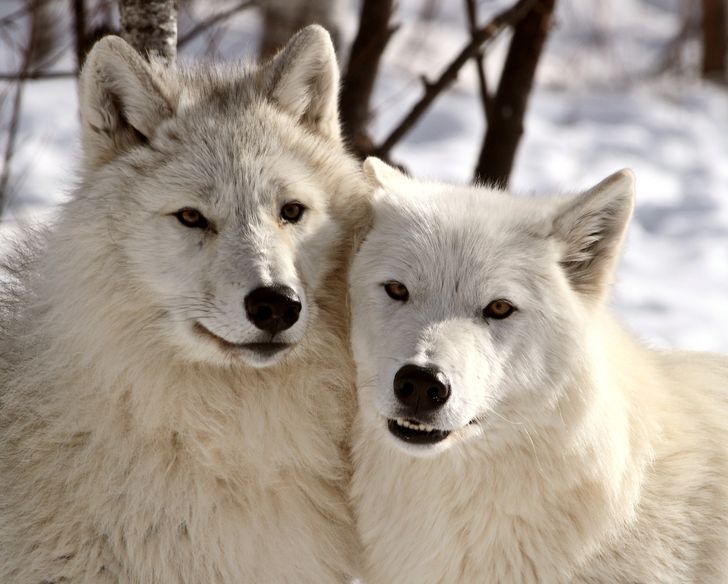 6bb6635dea9994779c78341b57