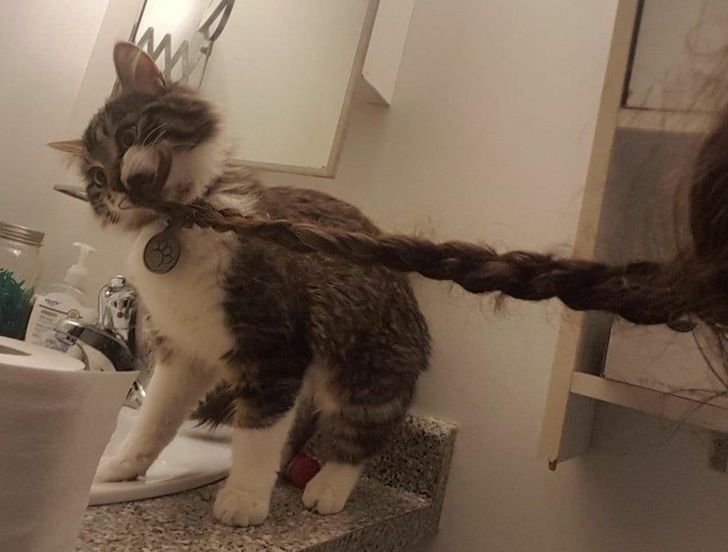 6bba6a558d8827ecb83f138c7a