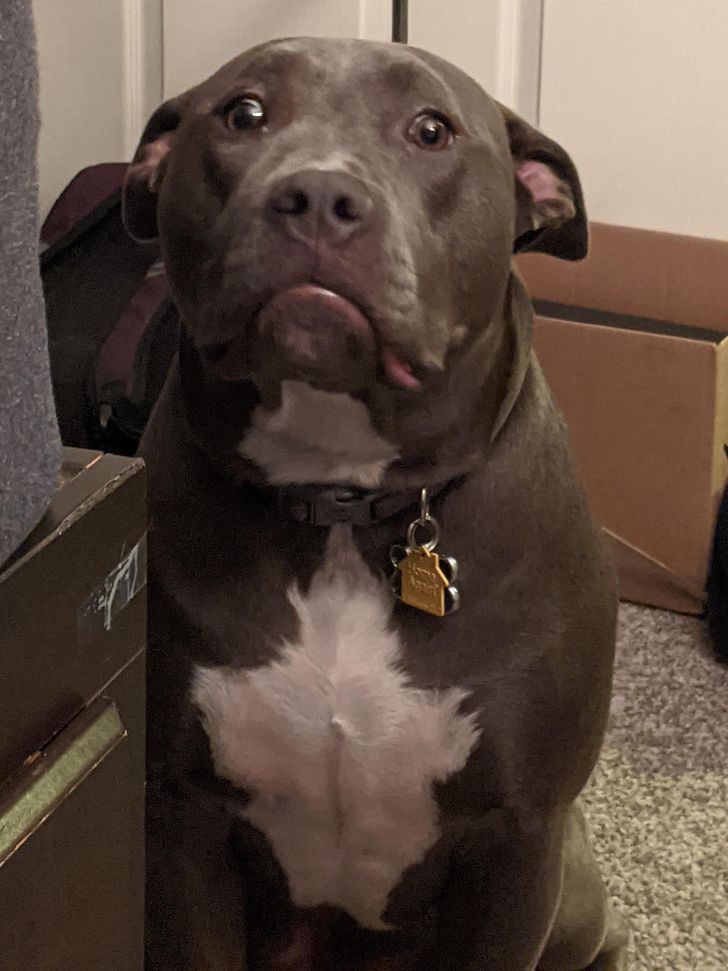 6bba7e57d3bd0716a074c8c3cb 6bba7e57d3bd0716a074c8c3cb