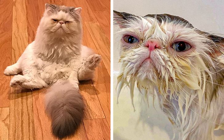 6bc1d35d178269f93e5df956e7