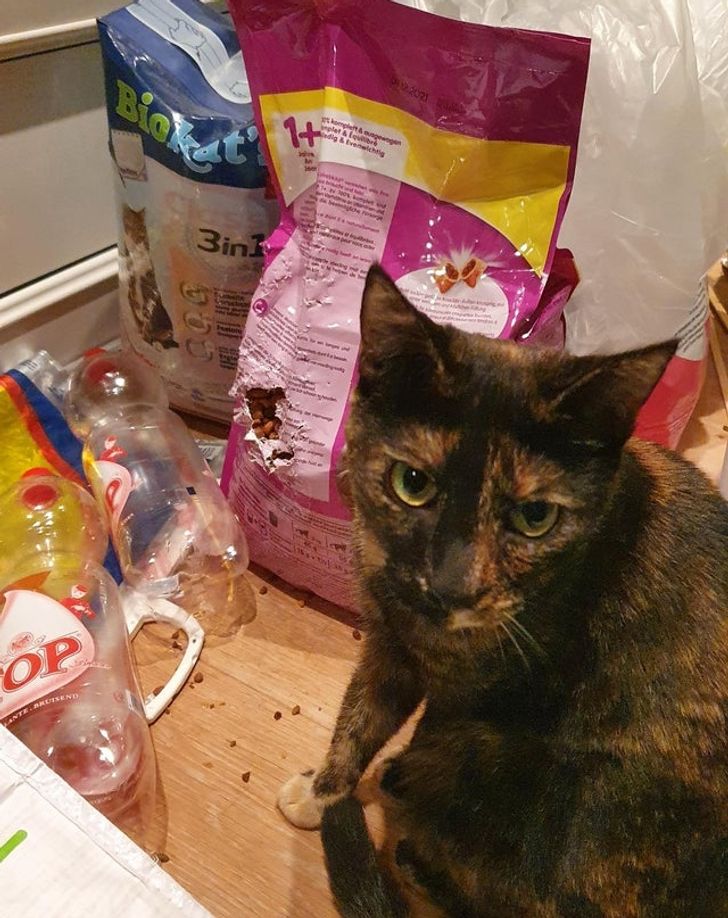 6bc2f55668ae7b2431a422ca21