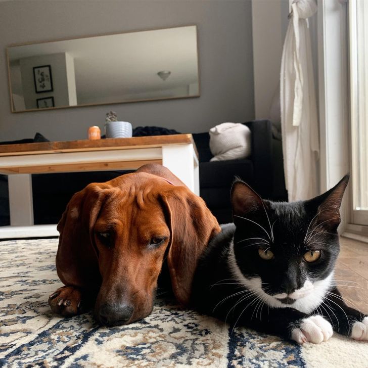 6bc3ce55b4be4d21316817b71a