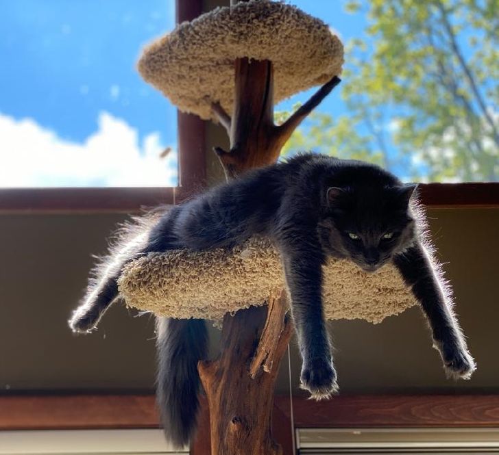 6bc66a5a2f9d0018cc588d5d8a