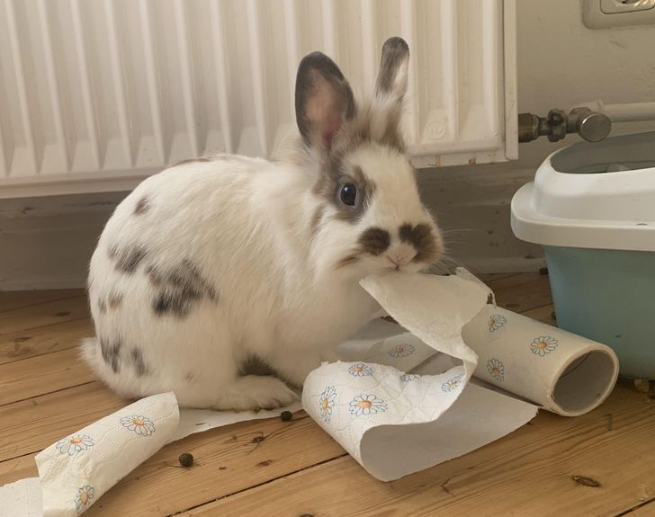 6bc7315c268a2d1c087cf8bbd9