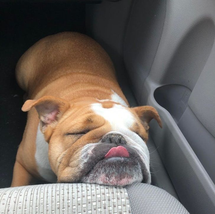 6bcfb45893b1f24124958c5d8f