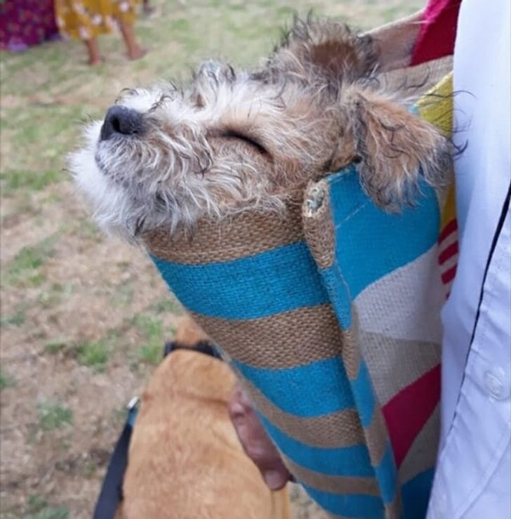 6bd1195f3eb94f8a264758c374