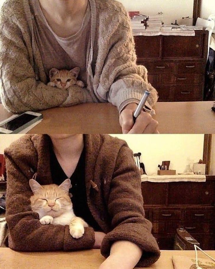 6bdcac5e378ce738cf51dd121c