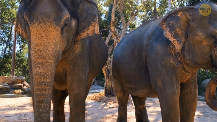 6be2765d64a9aa784535cf962e