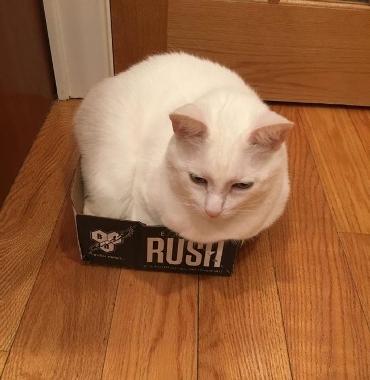 6be8215372be91f6df0c37e8c7