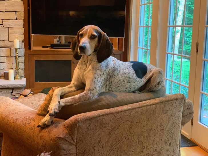 6be85a5a40828c2db072da32c6