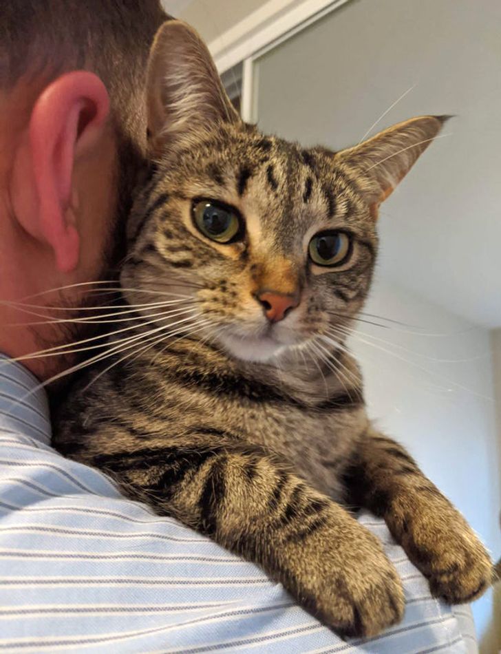 6bf17952a69da4f789fc4ba2ce